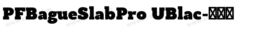 PFBagueSlabPro UBlac字体转换